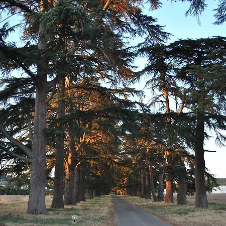 Hotel Logis - Chateau Saint Marcel 4*