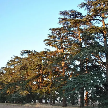 Logis - Chateau Saint Marcel 4* Boé