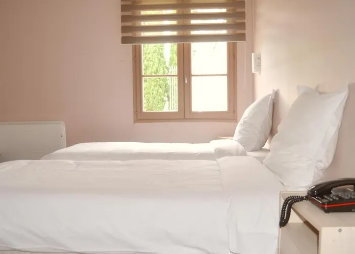 מלון Logis Hotels - Le Saint Marcel Boé